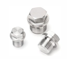 Plug Bolts